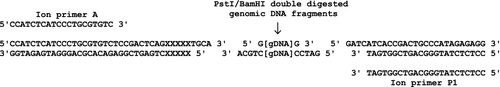 Details are in the caption following the image