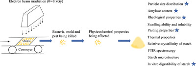 Effects of Electron Beam Irradiation on the Physicochemical Properties of Quinoa and Starch Microstructure