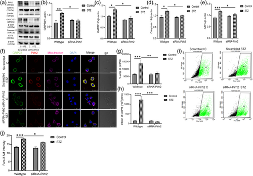 Details are in the caption following the image Details are in the caption following the image