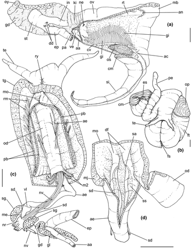 Details are in the caption following the image Details are in the caption following the image