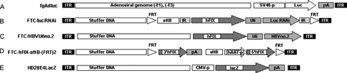 Details are in the caption following the image