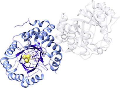 Anaerobic Radical Enzymes for Biotechnology