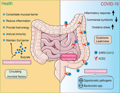 SARS-CoV-2 triggered oxidative stress and abnormal energy metabolism in gut microbiota