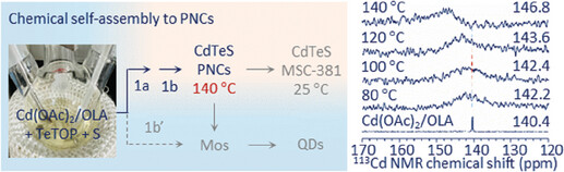 Formation of CdTeS Prenucleation Clusters at Elevated Temperatures and Transformation to Magic-Size Clusters at Room Temperature