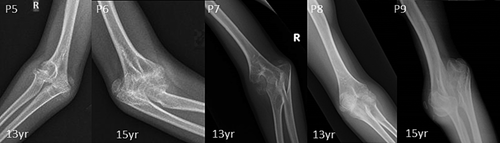 Details are in the caption following the image Details are in the caption following the image