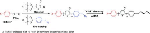 In Situ Hetero End-Functionalized Polythiophene and Subsequent “Click” Chemistry With DNA