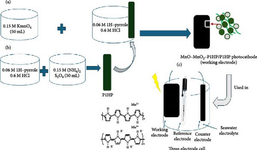 Details are in the caption following the image Details are in the caption following the image