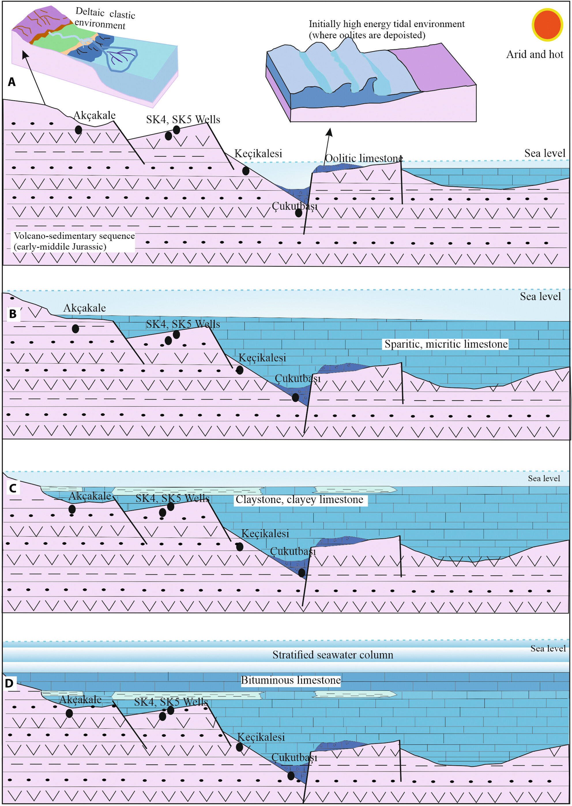 Geochemical evaluation of black limestones in the Early Cretaceous platform carbonates of Gümüşhane (NE Turkey): An insight into petroleum source rock potential and palaeoenvironment conditions