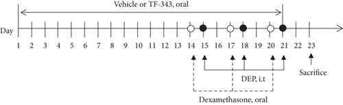 Details are in the caption following the image Details are in the caption following the image