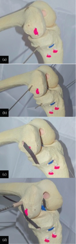 Details are in the caption following the image Details are in the caption following the image