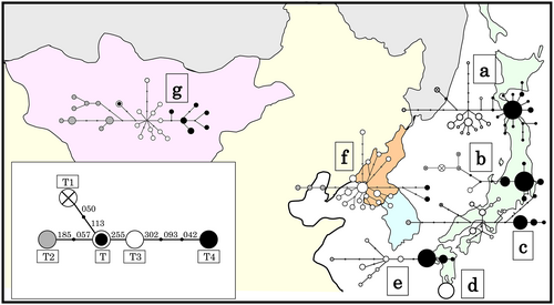 Details are in the caption following the image Details are in the caption following the image