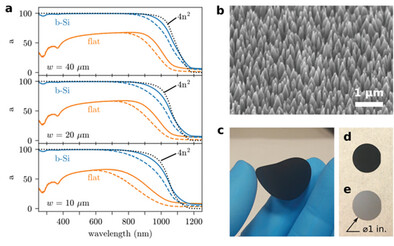 Black Ultra-Thin Crystalline Silicon Wafers Reach the 4n2 Absorption Limit–Application to IBC Solar Cells