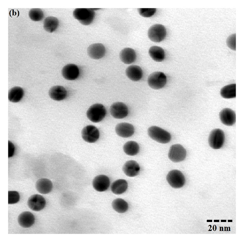 Details are in the caption following the image