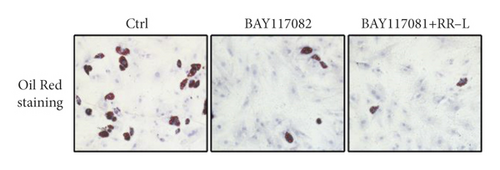 Details are in the caption following the image