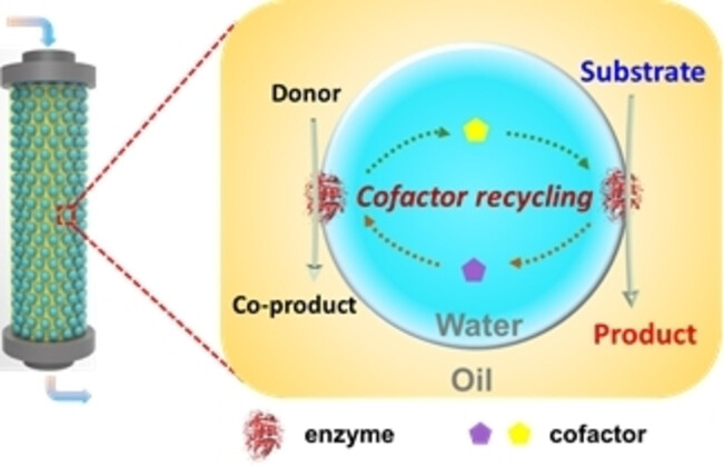 Co-compartmentalization of Enzymes and Cofactors within Pickering Emulsion Droplets for Continuous-Flow Catalysis