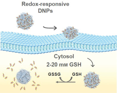 Development of Surface Chemical Strategies for Synthesizing Redox-Responsive Diatomite Nanoparticles as a Green Platform for On-Demand Intracellular Release of an Antisense Peptide Nucleic Acid Anticancer Agent