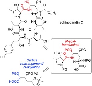 Total Synthesis of the Antifungal Agent Echinocandin C