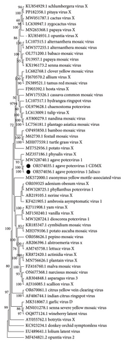 Details are in the caption following the image