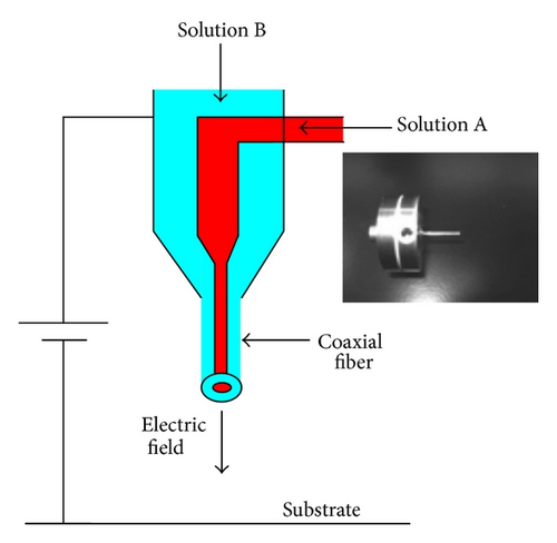 Details are in the caption following the image Details are in the caption following the image