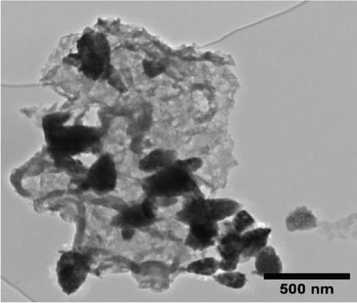 Details are in the caption following the image