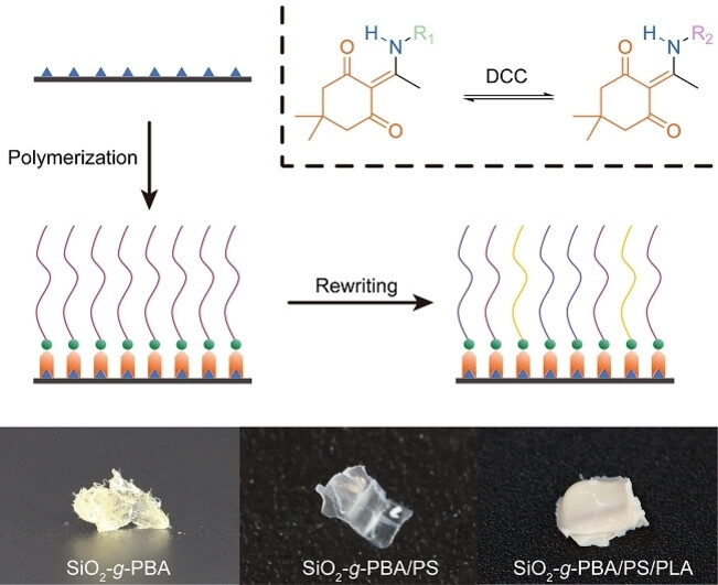 Rewritable Surface-Grafted Polymer Brushes with Dynamic Covalent Linkages