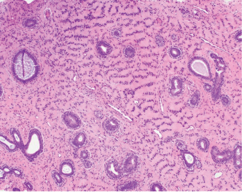 Details are in the caption following the image