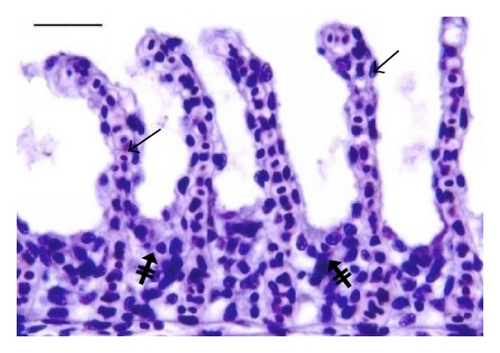 Details are in the caption following the image