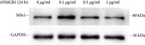 Details are in the caption following the image