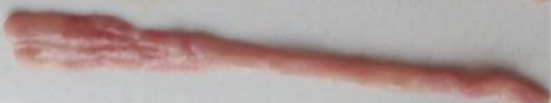 Details are in the caption following the image