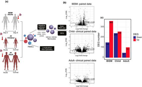 Transcriptional profiling and immunophenotyping show sustained activation of blood monocytes in subpatent Plasmodium falciparum infection