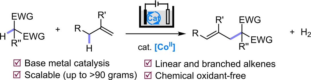 Electrocatalytic Allylic C−H Alkylation Enabled by a Dual-Function Cobalt Catalyst**