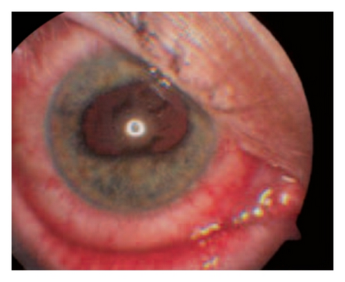 Details are in the caption following the image Details are in the caption following the image