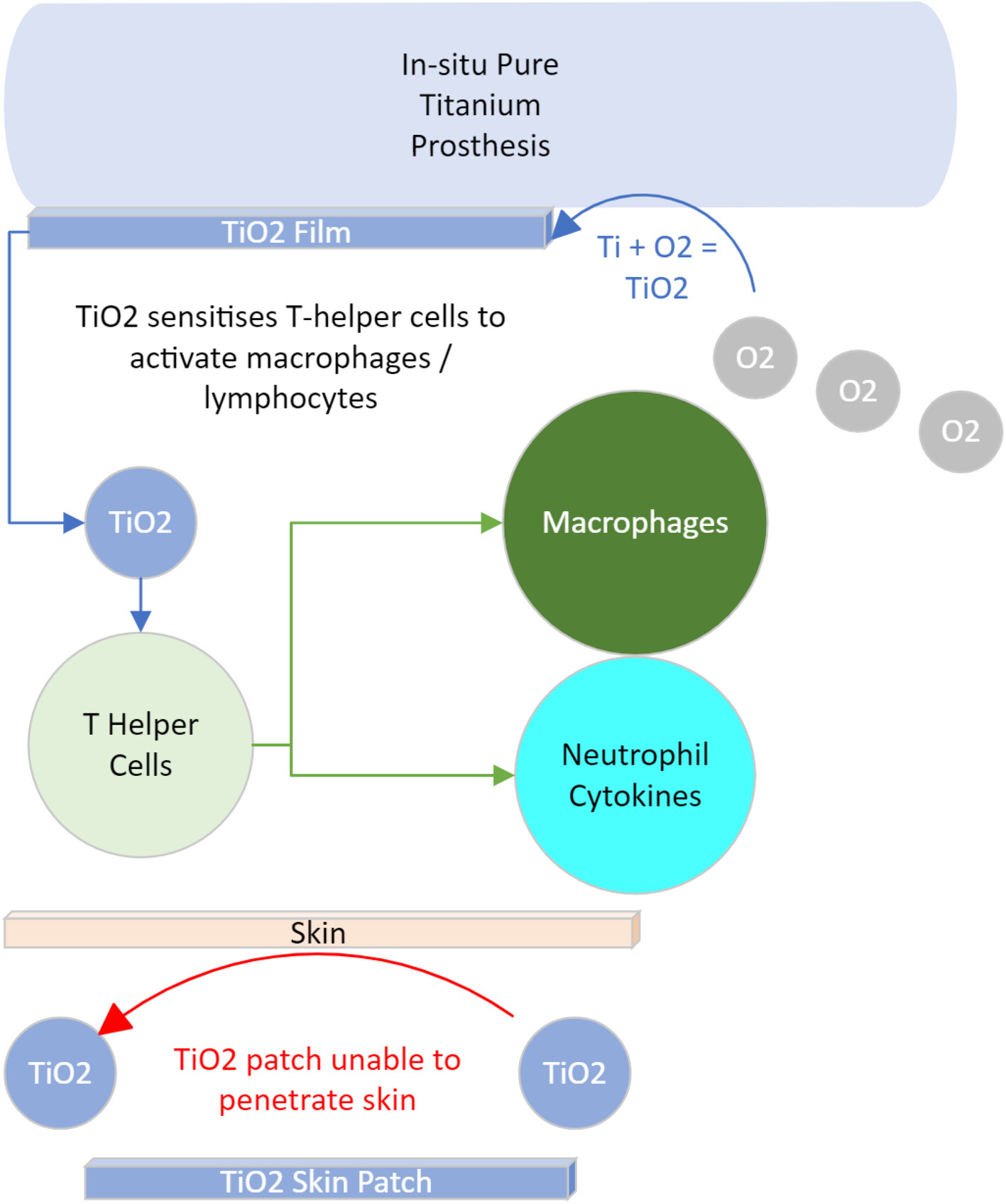 Understanding immune-mediated titanium allergy to in situ orthopaedic implants: a narrative review of the current literature