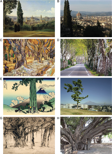 Details are in the caption following the image Details are in the caption following the image