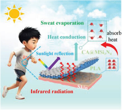 A High-Performance Passive Radiative Cooling Metafabric with Janus Wettability and Thermal Conduction