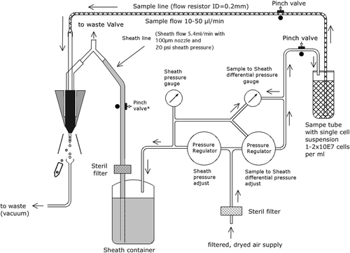 Details are in the caption following the image Details are in the caption following the image