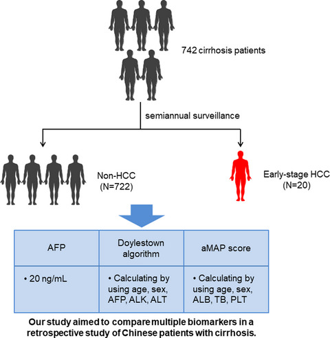 Validation of the hepatocellular carcinoma early detection screening algorithm Doylestown and aMAP in a cohort of Chinese with cirrhosis