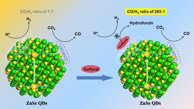 Reductive Carbon–Carbon Coupling on Metal Sites Regulates Photocatalytic CO2 Reduction in Water Using ZnSe Quantum Dots