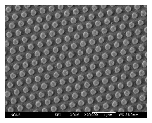 Details are in the caption following the image Details are in the caption following the image