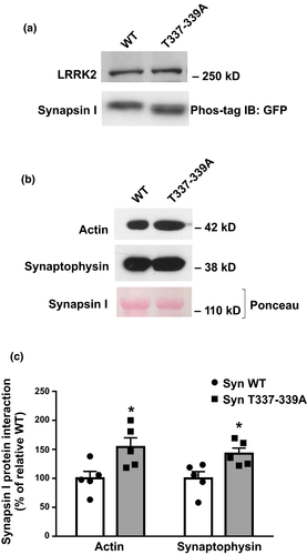 Details are in the caption following the image