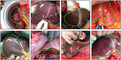 Details are in the caption following the image Details are in the caption following the image