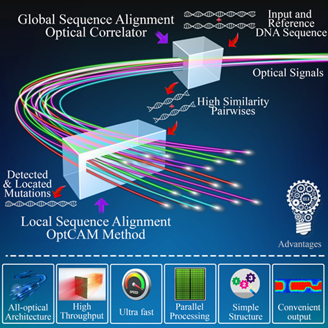 OptCAM: An ultra-fast all-optical architecture for DNA variant discovery