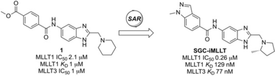 Discovery of an MLLT1/3 YEATS Domain Chemical Probe