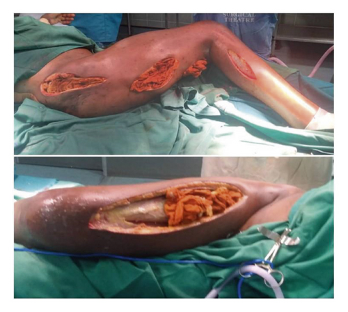 Details are in the caption following the image Details are in the caption following the image