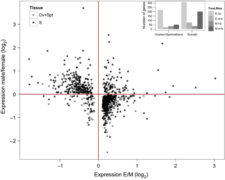 Mating system variation drives rapid evolution of the female transcriptome in Drosophila pseudoobscura