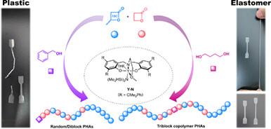Tailoring the Properties of Polyhydroxyalkanoates from Plastics to Elastomers via Stereoselective Copolymerizations of rac-β-Butyrolactone and β-Propiolactone