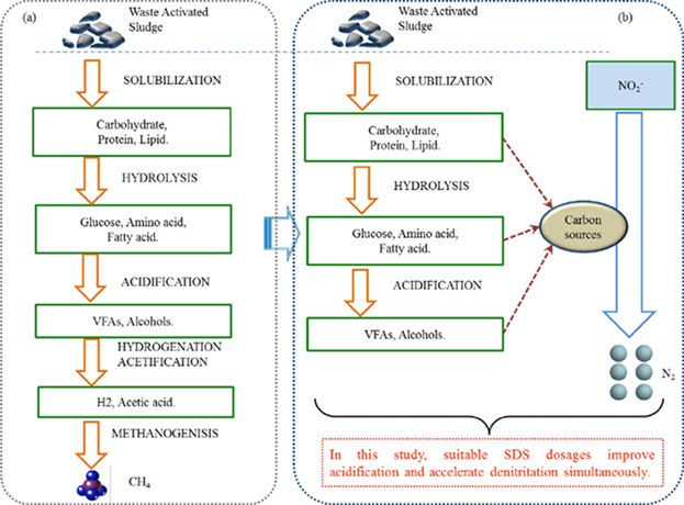 Enhancement of Integrated Waste Activated Sludge Fermentation and Denitritation by Addition of Sodium Dodecyl Sulfate