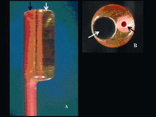 Details are in the caption following the image