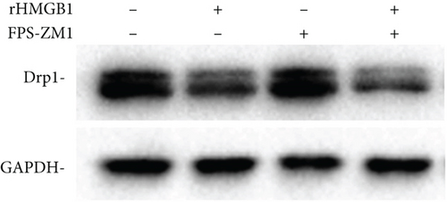 Details are in the caption following the image