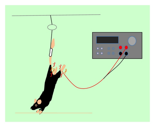 Details are in the caption following the image Details are in the caption following the image
